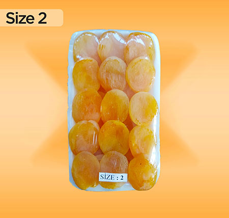 Size 2