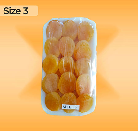 Size 3