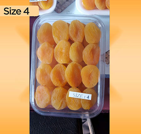 Size 4
