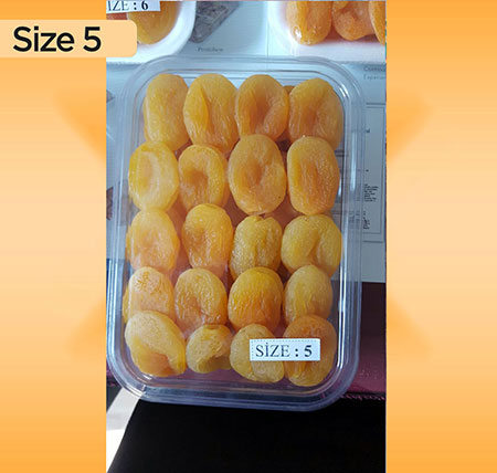 Size 5