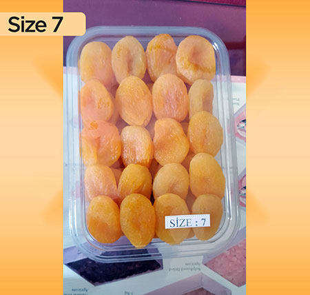 Size 7